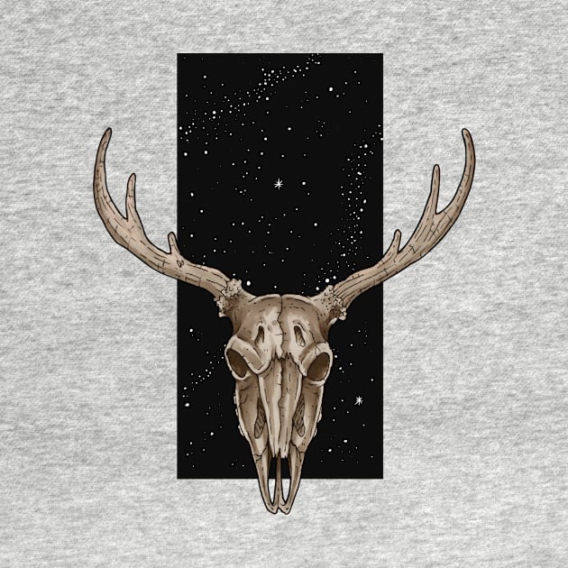 Deer skull by Dracuria